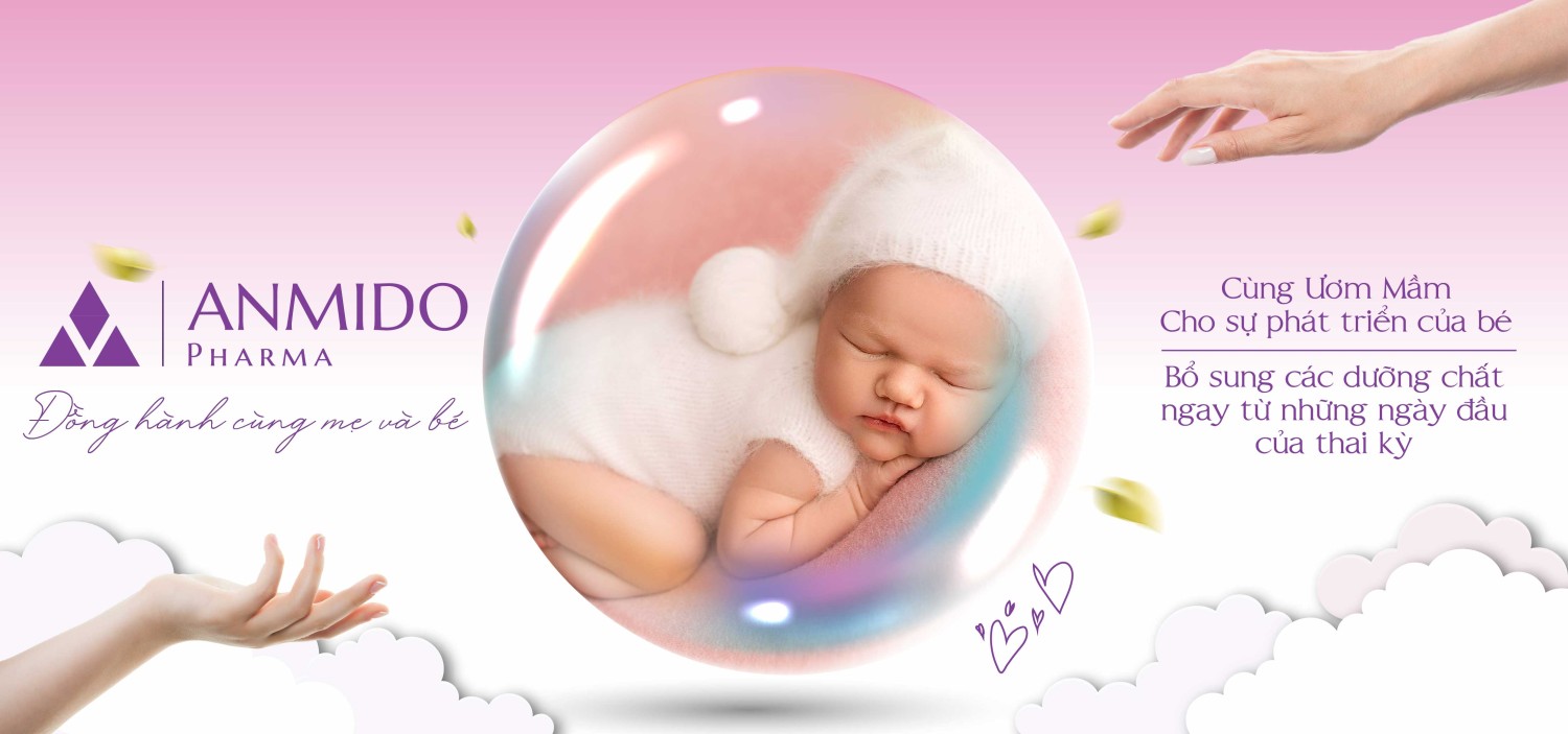 Anmido Việt Nam promo