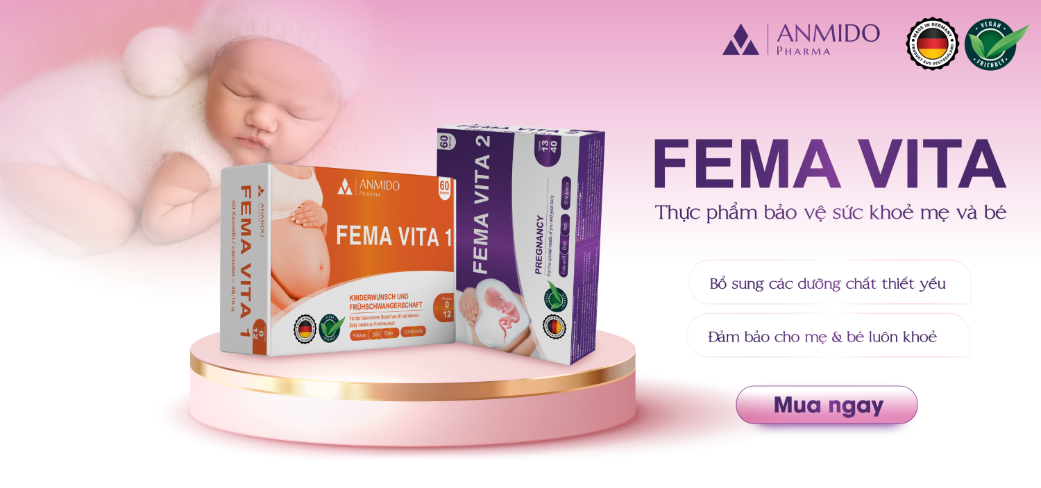 Anmido Việt Nam promo