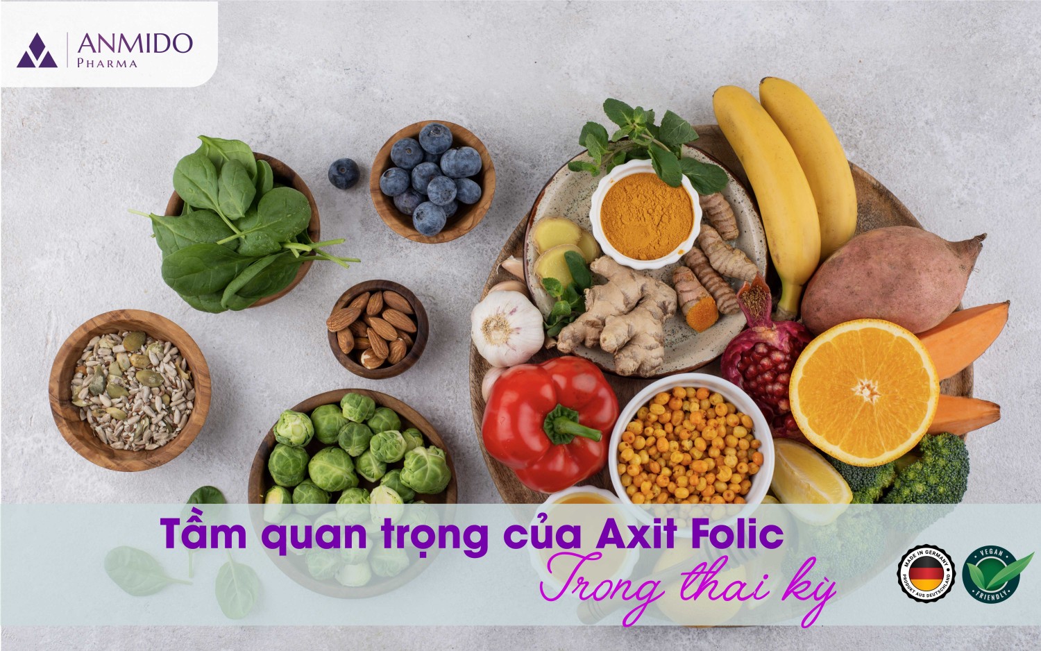 TẦM QUAN TRỌNG CỦA AXIT FOLIC TRONG THAI KỲ
